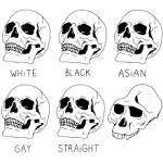 Skull Comparisons meme