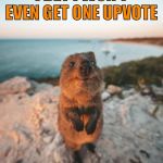 Cute Critter | I BET I WON'T EVEN GET ONE UPVOTE | image tagged in cute critter | made w/ Imgflip meme maker