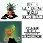 sad pineapple happy plant | USING MEMES THAT OTHER PEOPLE MADE; USING MEMES THAT YOU MADE WITH ART OF RANDOM PLANTS | image tagged in sad pineapple happy plant | made w/ Imgflip meme maker