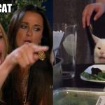 Woman yelling at cat | DUMB ASS CAT; WTF | image tagged in woman yelling at cat | made w/ Imgflip meme maker