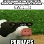 Perhaps Cow | DID YOU TURN OFF THE COMPUTER BY PULLING THE PLUG OR BY ACTUALLY PRESSING "SHUT DOWN?"; MY SIBLING: | image tagged in perhaps cow | made w/ Imgflip meme maker