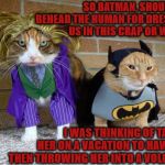 KILL THE HUMAN | SO BATMAN, SHOULD WE BEHEAD THE HUMAN FOR DRESSING US IN THIS CRAP OR WHAT? I WAS THINKING OF TAKING HER ON A VACATION TO HAWAII & THEN THROWING HER INTO A VOLCANO! | image tagged in kill the human | made w/ Imgflip meme maker