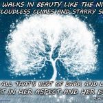 Tree of the Two Worlds | SHE WALKS IN BEAUTY LIKE THE NIGHT; OF CLOUDLESS CLIMES AND STARRY SKIES; AND ALL THAT'S BEST OF DARK AND LIGHT; MEET IN HER ASPECT AND HER EYES; ~LORD BYRON | image tagged in tree of the two worlds | made w/ Imgflip meme maker