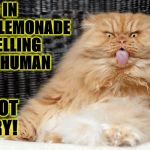 I PEED IN IT | I PEED IN YOUR LEMONADE FOR YELLING AT ME HUMAN; AND I'M NOT SORRY! | image tagged in i peed in it | made w/ Imgflip meme maker