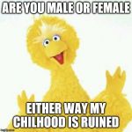 big bird 1 | ARE YOU MALE OR FEMALE; EITHER WAY MY CHILHOOD IS RUINED | image tagged in big bird 1 | made w/ Imgflip meme maker