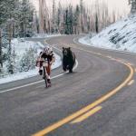 meals on wheels