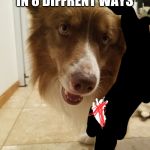 GOOD BOY | I CAN KILL YOU IN 8 DIFFRENT WAYS; But i wont | image tagged in good boy | made w/ Imgflip meme maker