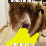 GOOD BOY | LOOK AT DIS COOL FRISBEE; DIS JUST FELL OUT OF DA SKY | image tagged in good boy | made w/ Imgflip meme maker
