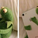 Kermit hugging his phone