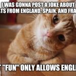 Happened to notice "fun" requires English-only memes. Not complaining, just an observation | I WAS GONNA POST A JOKE ABOUT 3 CATS FROM ENGLAND, SPAIN, AND FRANCE, BUT "FUN" ONLY ALLOWS ENGLISH. | image tagged in curious question cat,memes,funny,english,language,imgflip | made w/ Imgflip meme maker