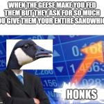 Stonks | WHEN THE GEESE MAKE YOU FED THEM BUT THEY ASK FOR SO MUCH YOU GIVE THEM YOUR ENTIRE SANDWHICH; HONKS | image tagged in stonks | made w/ Imgflip meme maker
