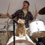 Caption Contest: Drummer Cat