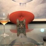 Godfather wine cat