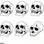Idiot Skull Meme | image tagged in idiot skull meme | made w/ Imgflip meme maker