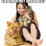 cat and dog and human | SHOULD WE WALK YOUR CAT LIKE THEY ARE DOGS? YES! | image tagged in cat and dog and human | made w/ Imgflip meme maker