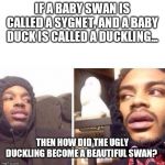 Hits Blunt | IF A BABY SWAN IS CALLED A SYGNET, AND A BABY DUCK IS CALLED A DUCKLING... THEN HOW DID THE UGLY DUCKLING BECOME A BEAUTIFUL SWAN? | image tagged in hits blunt | made w/ Imgflip meme maker