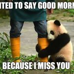 i miss you beary much | WANTED TO SAY GOOD MORNING; BECAUSE I MISS YOU | image tagged in i miss you beary much | made w/ Imgflip meme maker