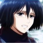 Bittersweet smile Mikasa meme