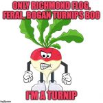 Richmond Tigers Turnips | ONLY RICHMOND FLOG, FERAL, BOGAN TURNIPS BOO; I'M A TURNIP | image tagged in angry turnip | made w/ Imgflip meme maker