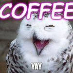 owl happy | COFFEE; YAY | image tagged in owl happy | made w/ Imgflip meme maker
