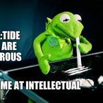 Kermit Snorting Tide Pod | MEDIA:TIDE PODS ARE DANGEROUS; ME AT INTELLECTUAL | image tagged in kermit snorting tide pod | made w/ Imgflip meme maker