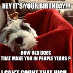 George | HEY IT'S YOUR BIRTHDAY!!! HOW OLD DOES THAT MAKE YOU IN PEOPLE YEARS ? I CAN'T COUNT THAT HIGH... | image tagged in george | made w/ Imgflip meme maker