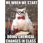 Chemical Cat | ME WHEN WE START; DOING CHEMICAL CHANGES IN CLASS | image tagged in chemical cat | made w/ Imgflip meme maker