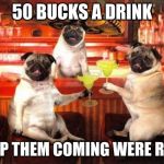 Margarita Pugs | 50 BUCKS A DRINK; KEEP THEM COMING WERE RICH | image tagged in margarita pugs | made w/ Imgflip meme maker