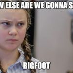 Pissedoff Greta | HOW ELSE ARE WE GONNA SAVE; BIGFOOT | image tagged in pissedoff greta | made w/ Imgflip meme maker