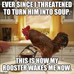 coffee chicken | EVER SINCE I THREATENED TO TURN HIM INTO SOUP. THIS IS HOW MY ROOSTER WAKES ME NOW. | image tagged in coffee chicken | made w/ Imgflip meme maker