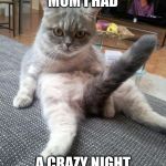 LMao | MOM I HAD; A CRAZY NIGHT | image tagged in memes,sexy cat | made w/ Imgflip meme maker