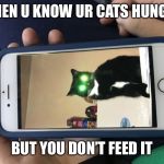 Rage cat | WHEN U KNOW UR CATS HUNGRY; BUT YOU DON’T FEED IT | image tagged in rage cat | made w/ Imgflip meme maker