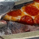Pizza shark