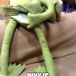 Gay kermit | THE F***; WHY IS THIS A PHOTO | image tagged in gay kermit | made w/ Imgflip meme maker