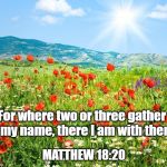 poetic landscape | For where two or three gather in my name, there I am with them. MATTHEW 18:20 | image tagged in poetic landscape | made w/ Imgflip meme maker