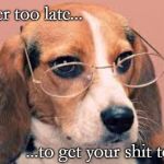 Funny animals | It's never too late... ...to get your shit together. | image tagged in funny animals | made w/ Imgflip meme maker
