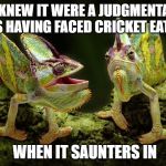 chameleons | I KNEW IT WERE A JUDGMENTAL ASS HAVING FACED CRICKET EATER; WHEN IT SAUNTERS IN | image tagged in chameleons | made w/ Imgflip meme maker