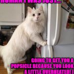 LIAR | OH... HEY HUMAN I WAS JUST... GOING TO GET YOU A POPSICLE BECAUSE YOU LOOK A LITTLE OVERHEATED! I WASN'T GOING TO STEAL THE TUNA FISH IN HERE I PROMISE! | image tagged in liar | made w/ Imgflip meme maker