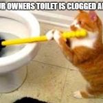 funny cat | WHEN YOUR OWNERS TOILET IS CLOGGED AND STINKS | image tagged in funny cat | made w/ Imgflip meme maker