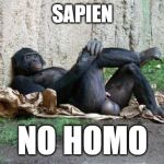technically true science | SAPIEN; NO HOMO | image tagged in big balls gorilla,bl4h,funny memes,ape humor | made w/ Imgflip meme maker