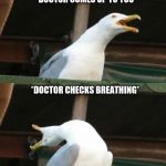 Breathing bird | *BREATHING NORMALLY*; *DOCTOR COMES UP TO YOU*; *DOCTOR CHECKS BREATHING* | image tagged in breathing bird | made w/ Imgflip meme maker