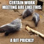 fun | CERTAIN WORK MEETING ARE LIKE THIS:; A BIT PRICKLY | image tagged in funny memes | made w/ Imgflip meme maker