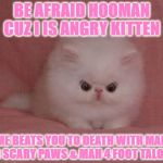 BE AFRAID | BE AFRAID HOOMAN CUZ I IS ANGRY KITTEN; ME BEATS YOU TO DEATH WITH MAH BIG SCARY PAWS & MAH 4 FOOT TALONS! | image tagged in be afraid | made w/ Imgflip meme maker