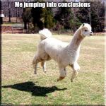 Alpaca Flying | Me jumping into conclusions | image tagged in alpaca flying | made w/ Imgflip meme maker