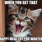 Happy cat | WHEN YOU GET THAT; HAPPY MEAL TOY YOU WANTED | image tagged in happy cat | made w/ Imgflip meme maker