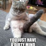 Sexy Cat Meme | NO! YOU JUST HAVE A DIRTY MIND | image tagged in memes,sexy cat | made w/ Imgflip meme maker