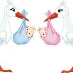 pink stork blue stork meme