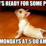Dog doing Updog | WHO'S READY FOR SOME PIYO? MONDAYS AT 5:00 AM | image tagged in dog doing updog | made w/ Imgflip meme maker