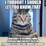 serious cat | I THOUGHT I SHOULD LET YOU KNOW THAT; MINECRAFT IS BECOMING MORE POPULAR THAN FORTNITE, SO STOP CRANKING 90'S AND START MINING DIAMONDS | image tagged in serious cat | made w/ Imgflip meme maker