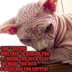 BEHEAD YOU | CAN'T DECIDE WHETHER TO BEHEAD YOU & THROW YOU OFF A CLIFF; OR MAKE YOU INTO A MEATLOAF FOR SUPPER! | image tagged in behead you | made w/ Imgflip meme maker